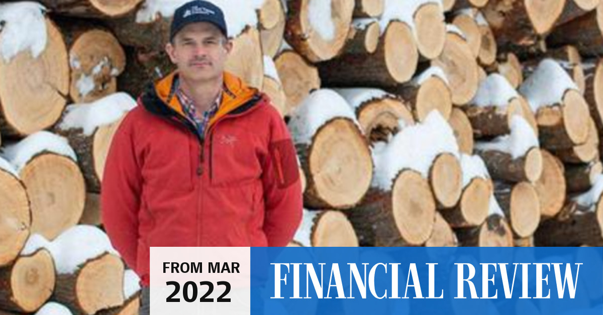 Shortchanging the climate Why Lyme Timber CEO says the company sold